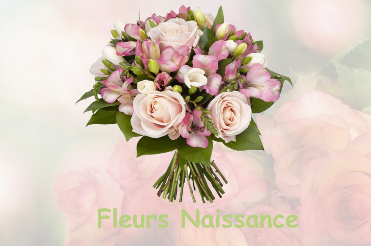 fleurs naissance SAINTE-MARIE-DU-BOIS
