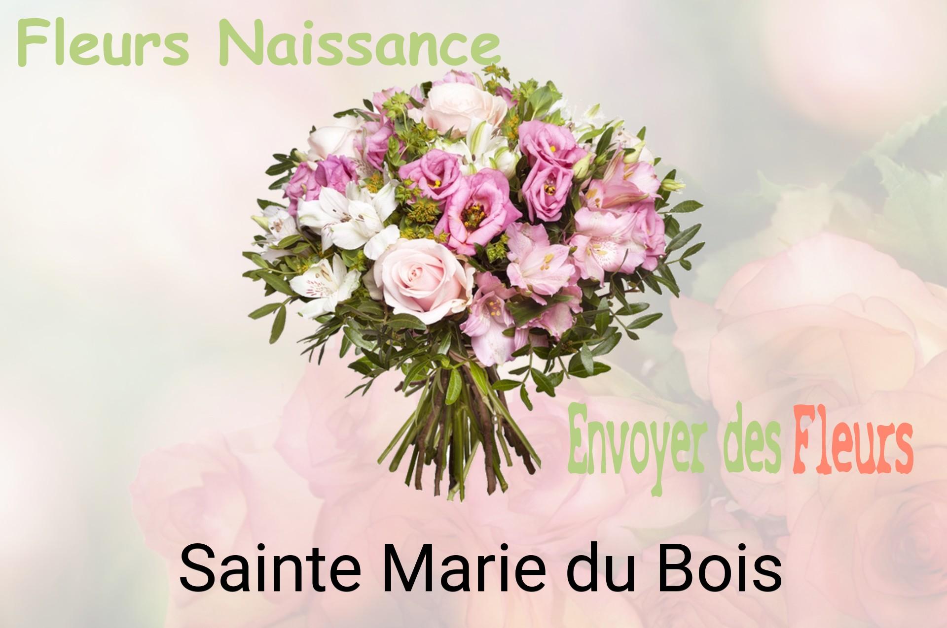 Bouquet de fleurs de naissance livré à Sainte-Marie-du-Bois